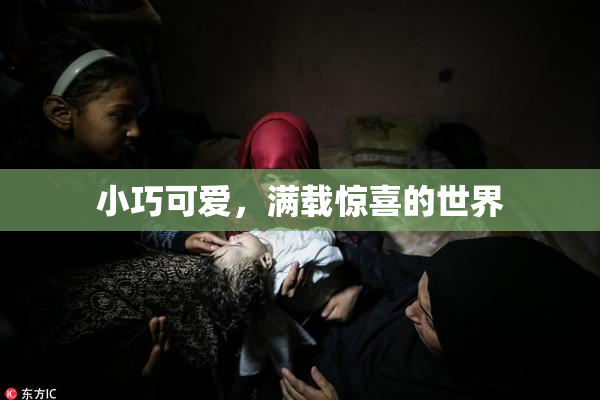 小巧可爱，满载惊喜的世界