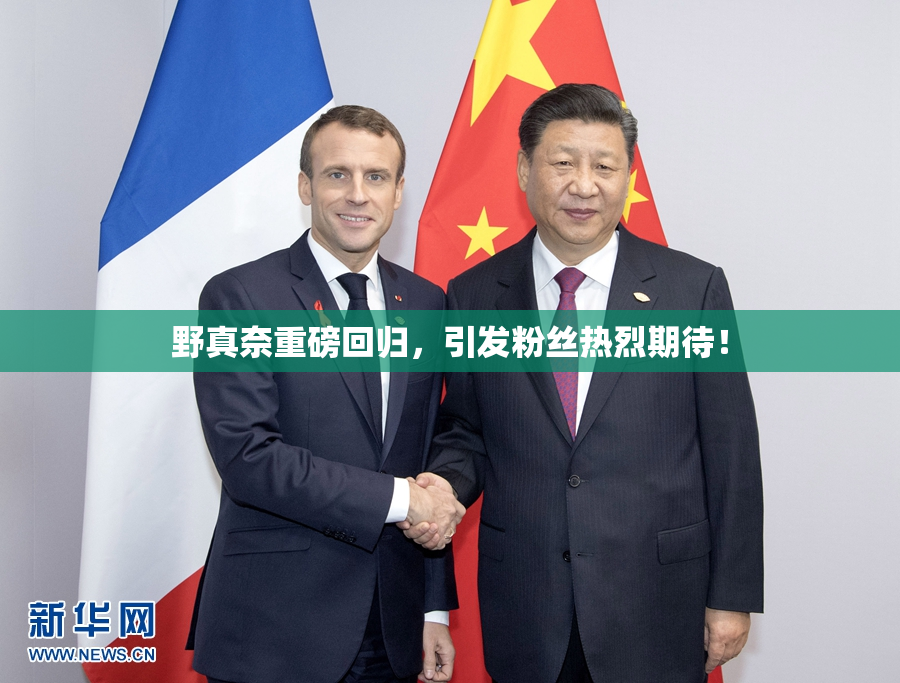 野真奈重磅回归，引发粉丝热烈期待！