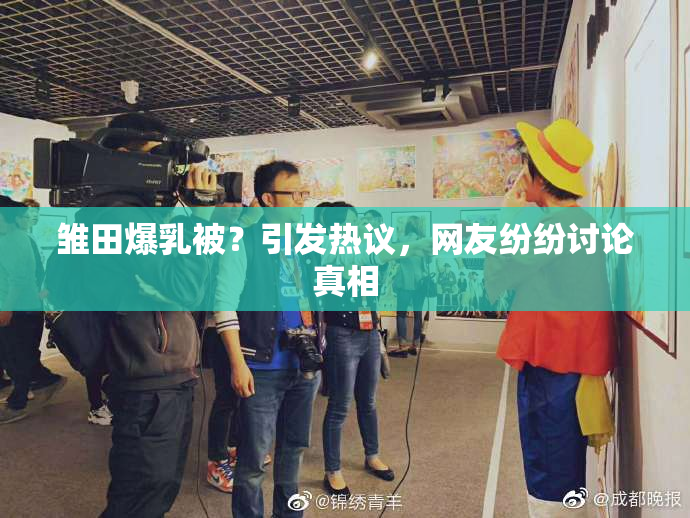 雏田爆乳被？引发热议，网友纷纷讨论真相
