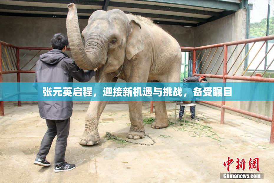 张元英启程，迎接新机遇与挑战，备受瞩目