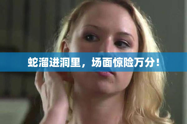 蛇溜进洞里，场面惊险万分！