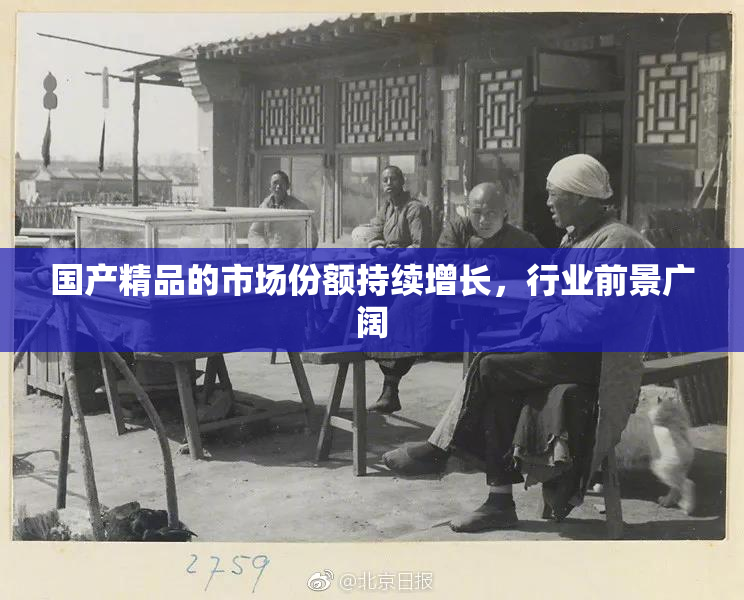 国产精品的市场份额持续增长，行业前景广阔