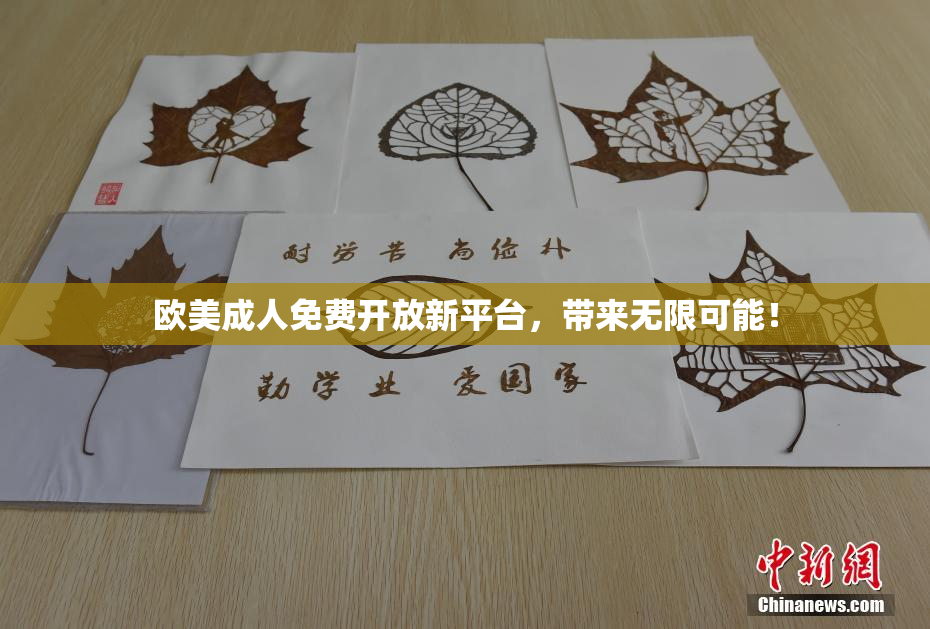 欧美成人免费开放新平台，带来无限可能！