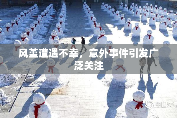 风堇遭遇不幸，意外事件引发广泛关注