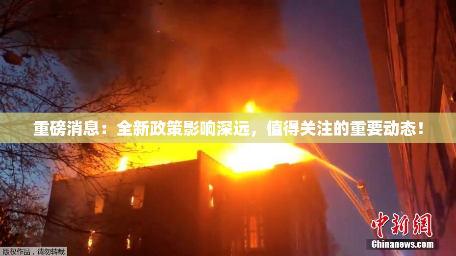 重磅消息：全新政策影响深远，值得关注的重要动态！