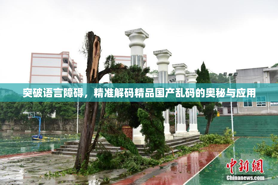 突破语言障碍，精准解码精品国产乱码的奥秘与应用