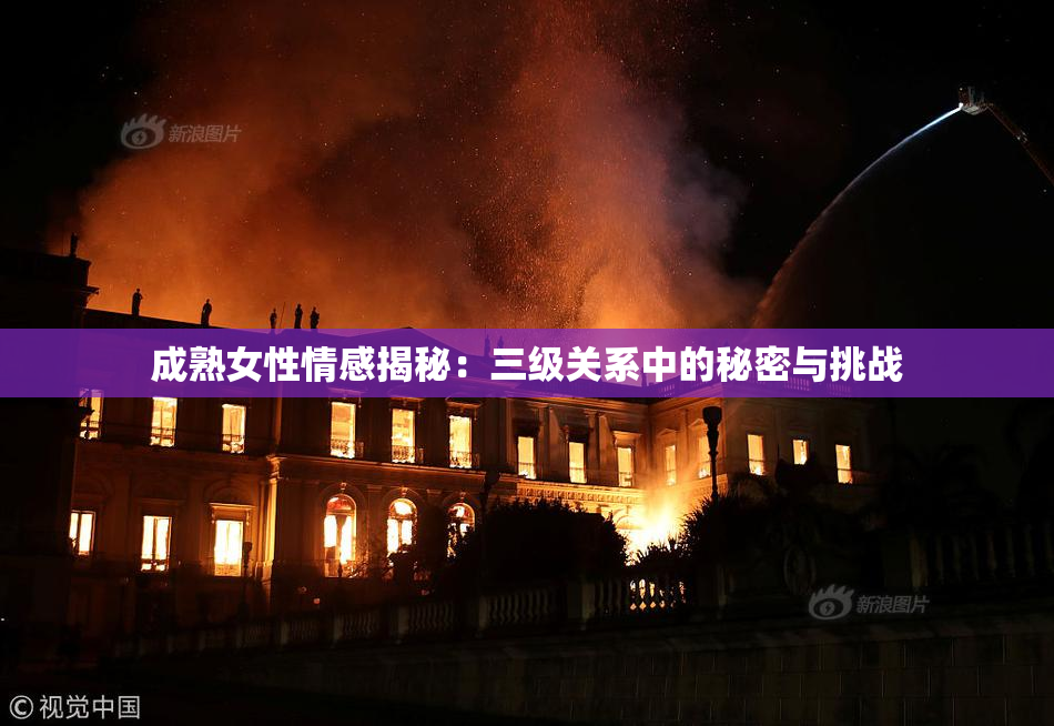 成熟女性情感揭秘：三级关系中的秘密与挑战