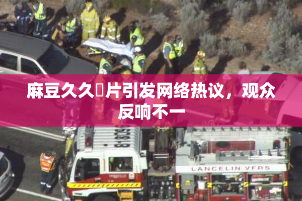 麻豆久久婬片引发网络热议，观众反响不一
