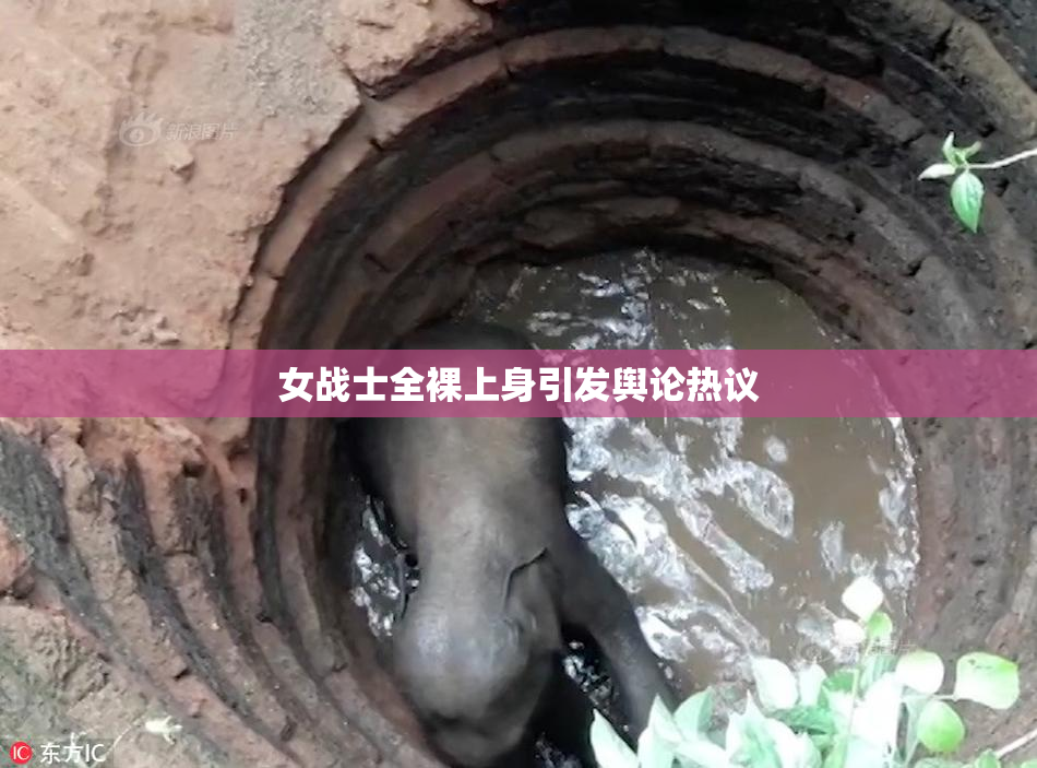 女战士全裸上身引发舆论热议