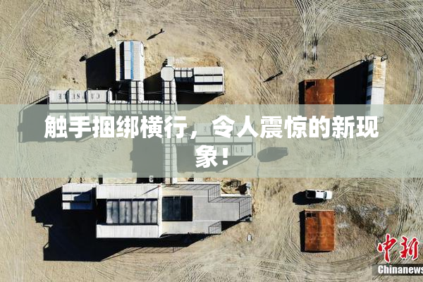 触手捆绑横行，令人震惊的新现象！