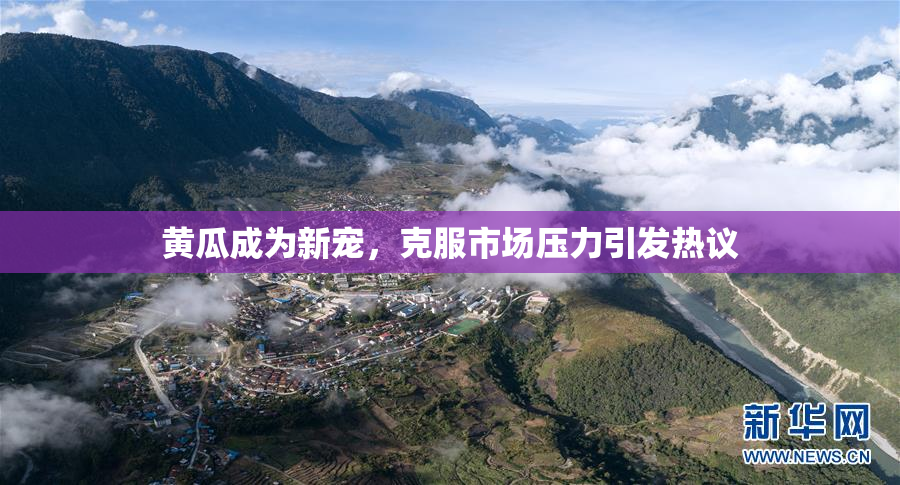 黄瓜成为新宠，克服市场压力引发热议