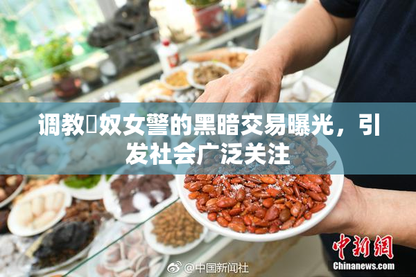 调教婬奴女警的黑暗交易曝光，引发社会广泛关注