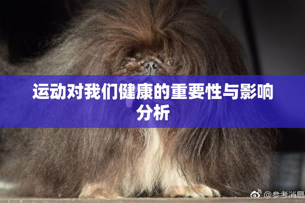 运动对我们健康的重要性与影响分析