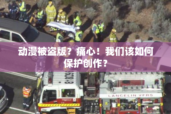 动漫被盗版？痛心！我们该如何保护创作？