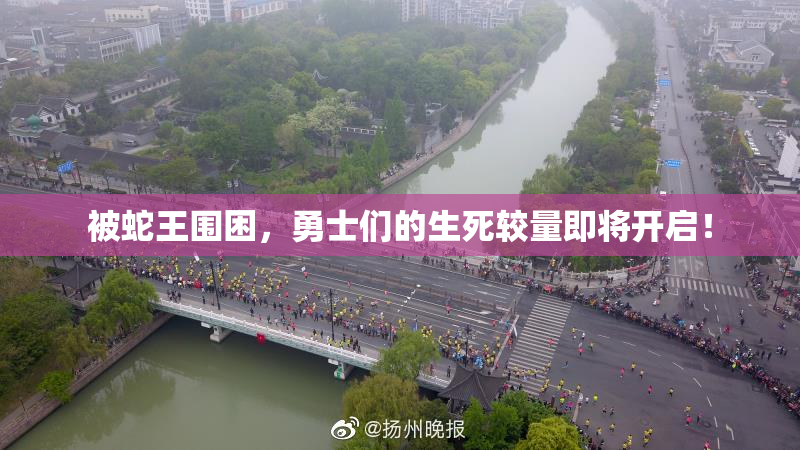 被蛇王围困，勇士们的生死较量即将开启！
