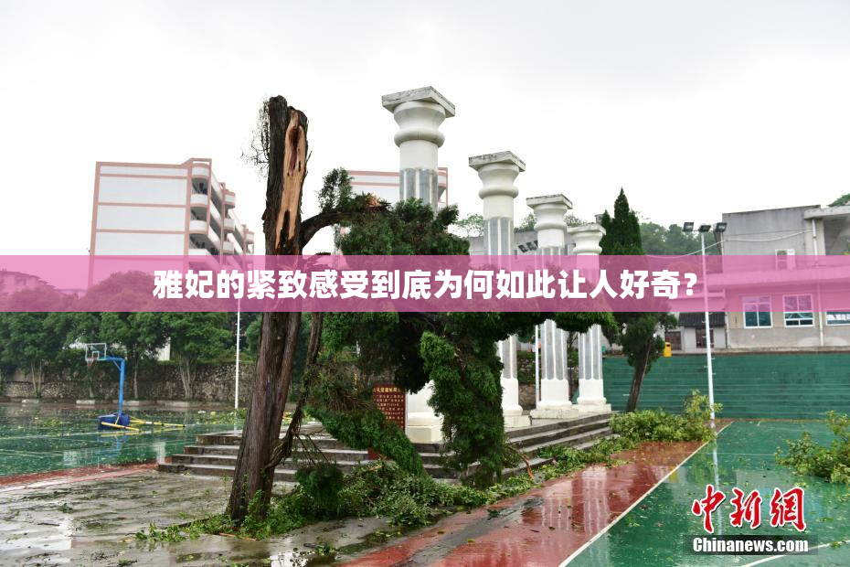 雅妃的紧致感受到底为何如此让人好奇？