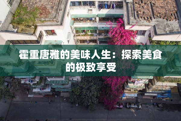 霍重唐雅的美味人生：探索美食的极致享受
