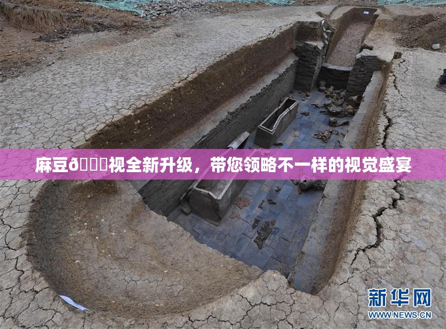 麻豆🔞视全新升级，带您领略不一样的视觉盛宴