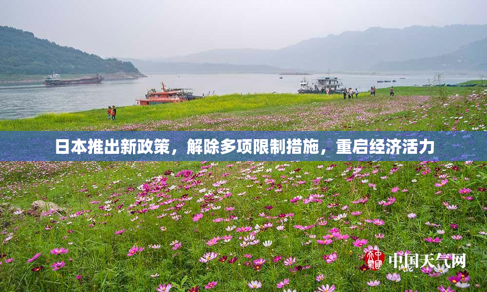 日本推出新政策，解除多项限制措施，重启经济活力