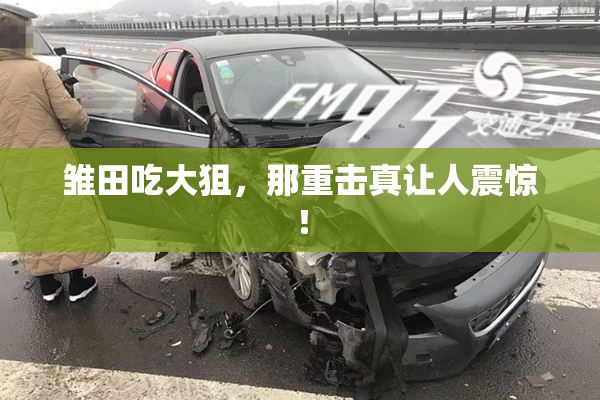 雏田吃大狙，那重击真让人震惊！