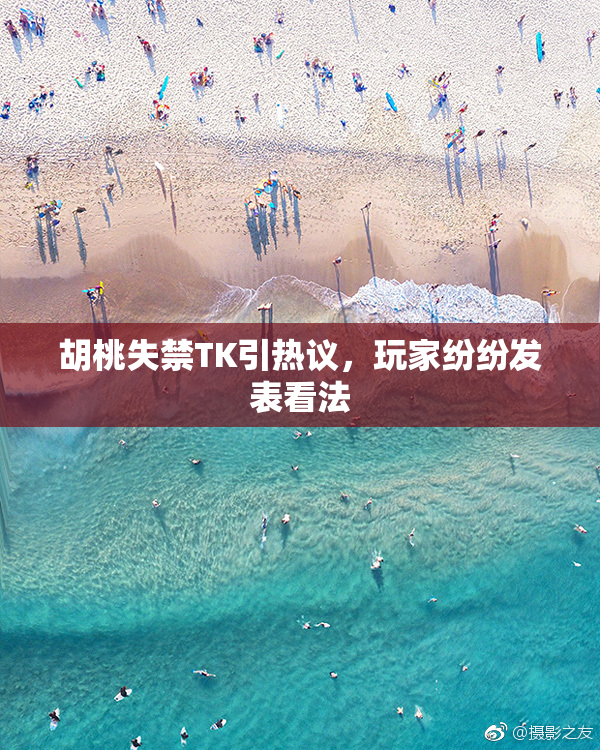 胡桃失禁TK引热议，玩家纷纷发表看法