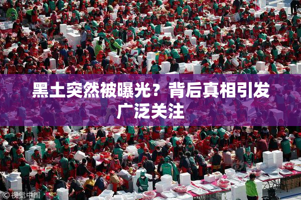 黑土突然被曝光？背后真相引发广泛关注