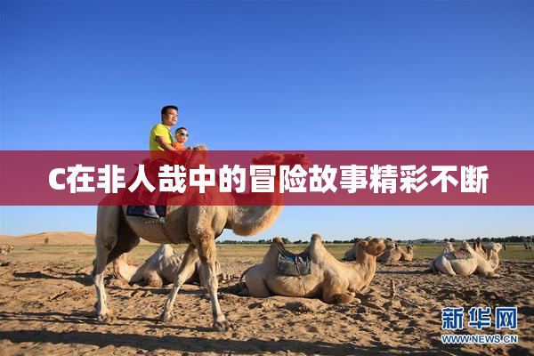 C在非人哉中的冒险故事精彩不断