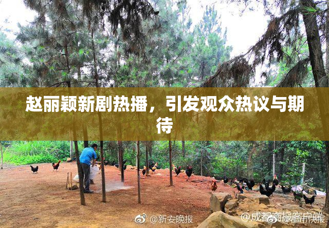 赵丽颖新剧热播，引发观众热议与期待
