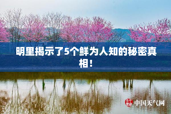 明里揭示了5个鲜为人知的秘密真相！