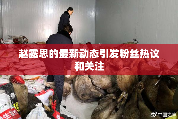 赵露思的最新动态引发粉丝热议和关注