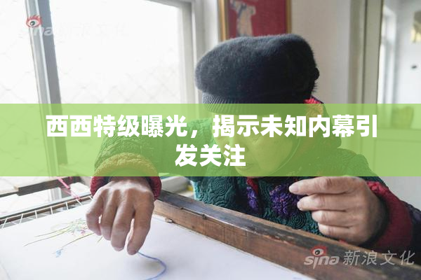 西西特级曝光，揭示未知内幕引发关注