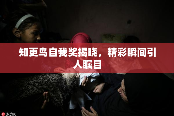 知更鸟自我奖揭晓，精彩瞬间引人瞩目
