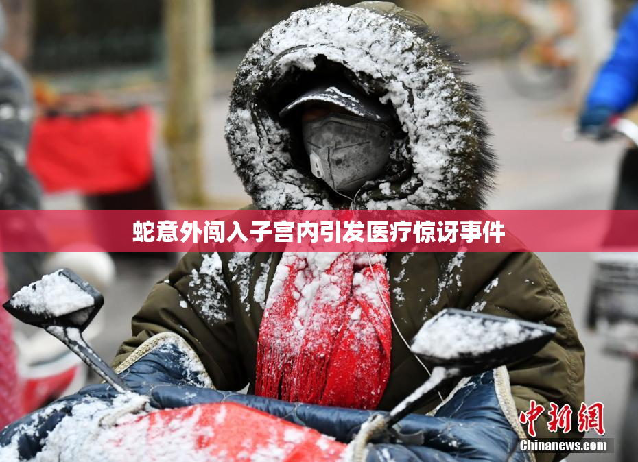 蛇意外闯入子宫内引发医疗惊讶事件