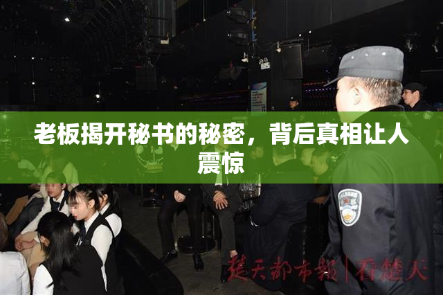 老板揭开秘书的秘密，背后真相让人震惊
