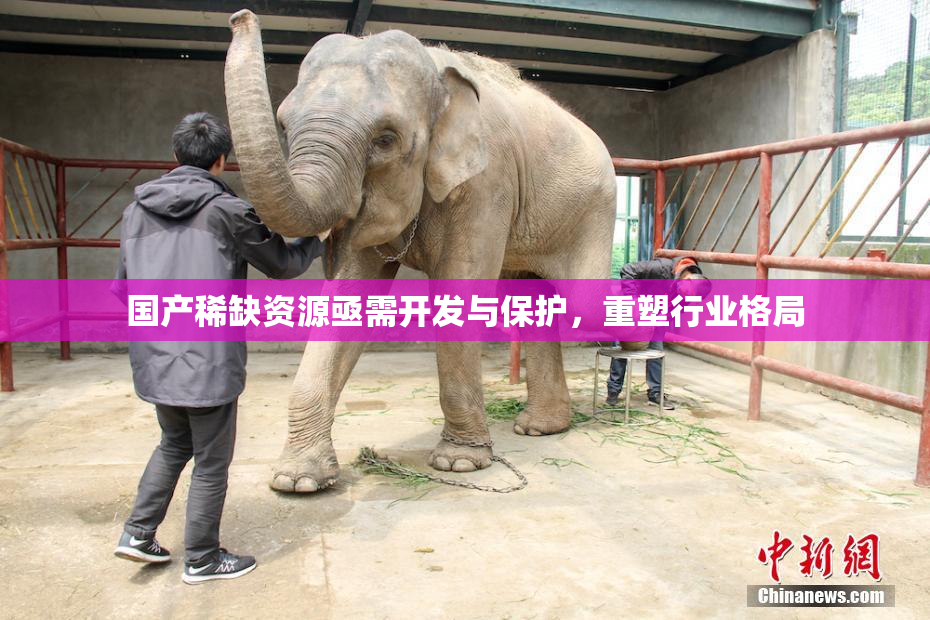 国产稀缺资源亟需开发与保护，重塑行业格局