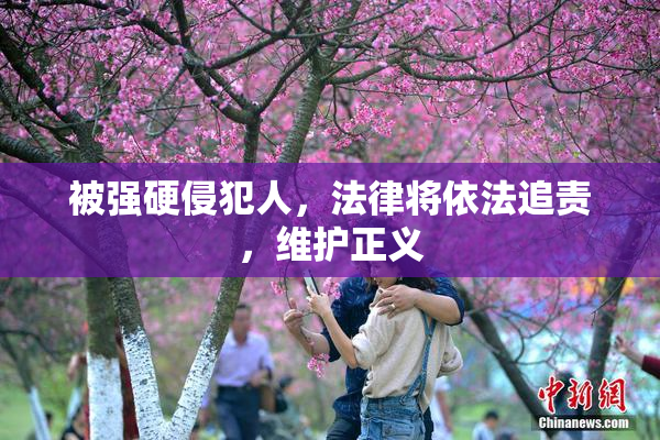 被强硬侵犯人，法律将依法追责，维护正义