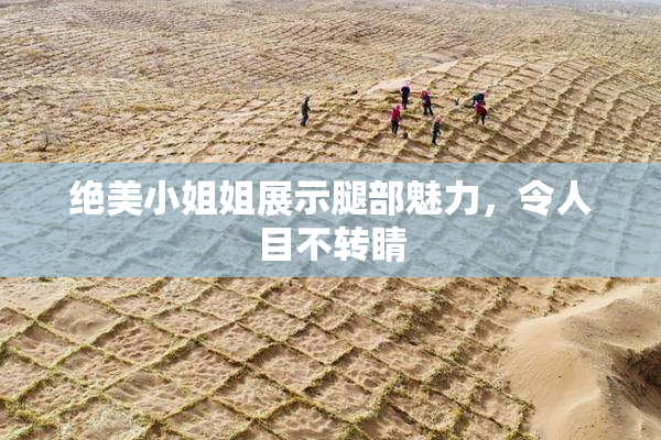 绝美小姐姐展示腿部魅力，令人目不转睛