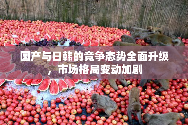 国产与日韩的竞争态势全面升级，市场格局变动加剧