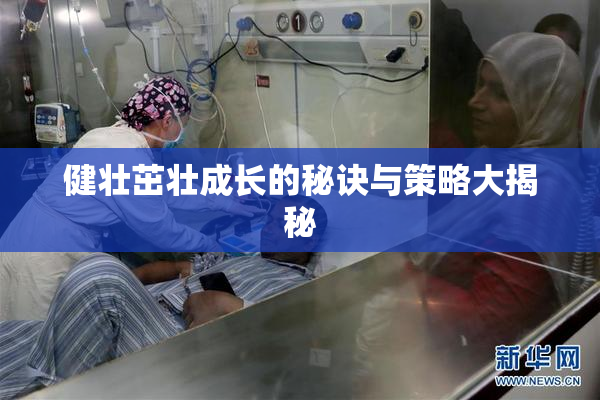 健壮茁壮成长的秘诀与策略大揭秘