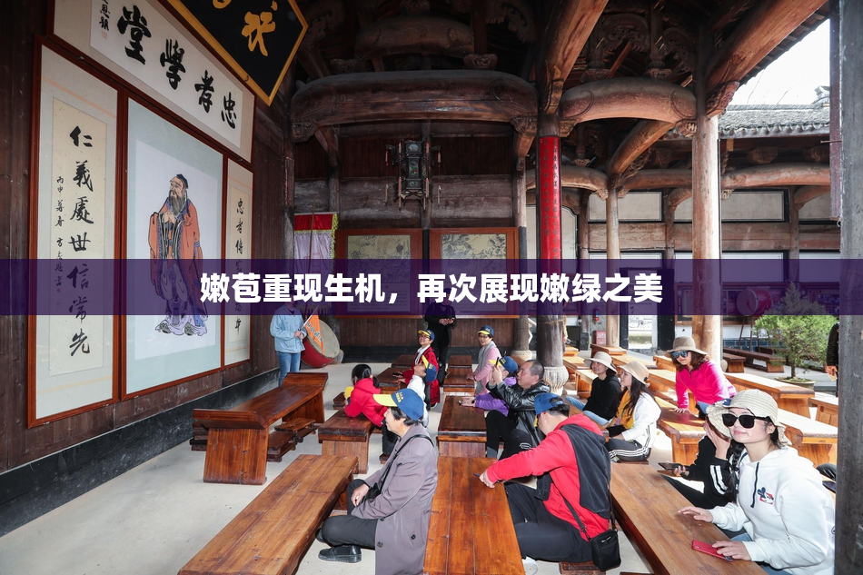 嫩苞重现生机，再次展现嫩绿之美