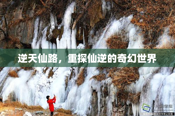 逆天仙路，重探仙逆的奇幻世界