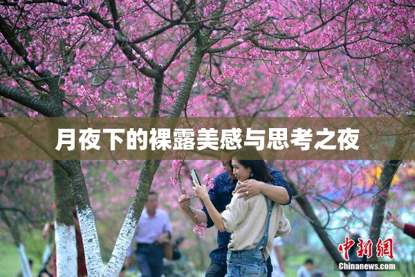 月夜下的裸露美感与思考之夜
