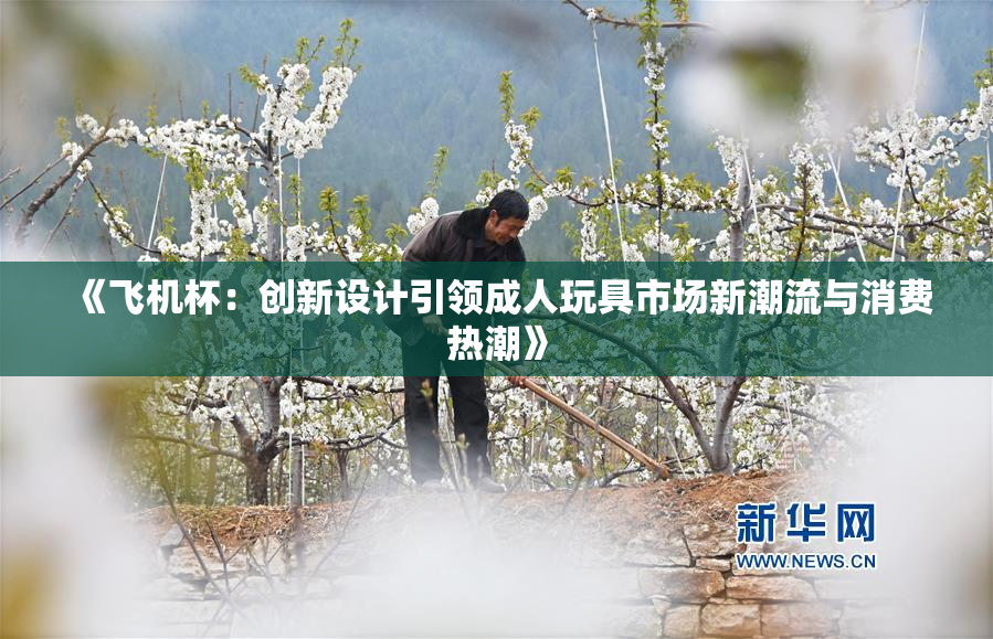 《飞机杯：创新设计引领成人玩具市场新潮流与消费热潮》