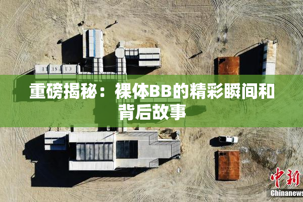重磅揭秘：裸体BB的精彩瞬间和背后故事