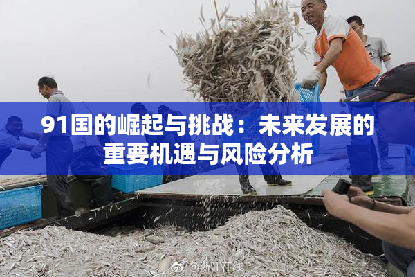 91国的崛起与挑战：未来发展的重要机遇与风险分析