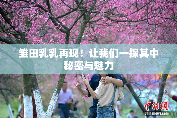 雏田乳乳再现！让我们一探其中秘密与魅力