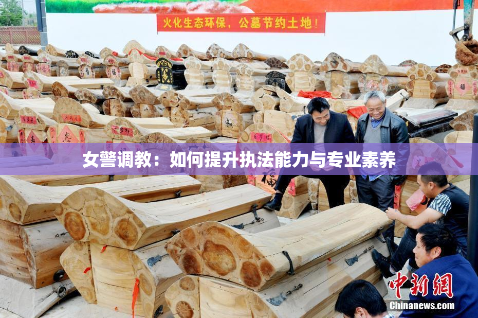 女警调教：如何提升执法能力与专业素养