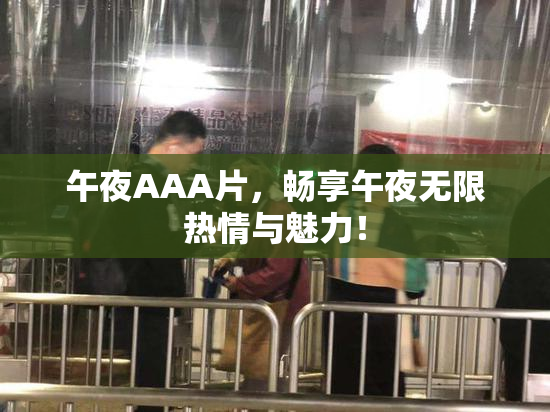 午夜AAA片，畅享午夜无限热情与魅力！