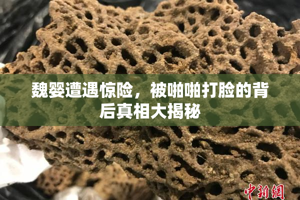 魏婴遭遇惊险，被啪啪打脸的背后真相大揭秘