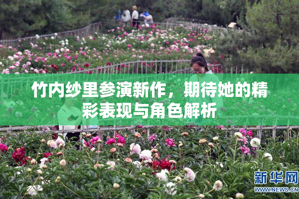 竹内纱里参演新作，期待她的精彩表现与角色解析
